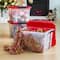 IRIS® 20.5qt. Clear Holiday Storage Boxes with Red Buckle Lids, 4ct.